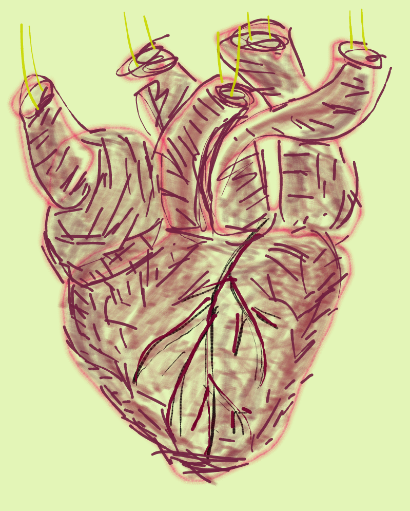 Dear Seagoat #9: Must a Retired Helper Fish Help More?