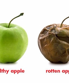 Libra Lifehacks – The REAL Reason You Can’t Decide