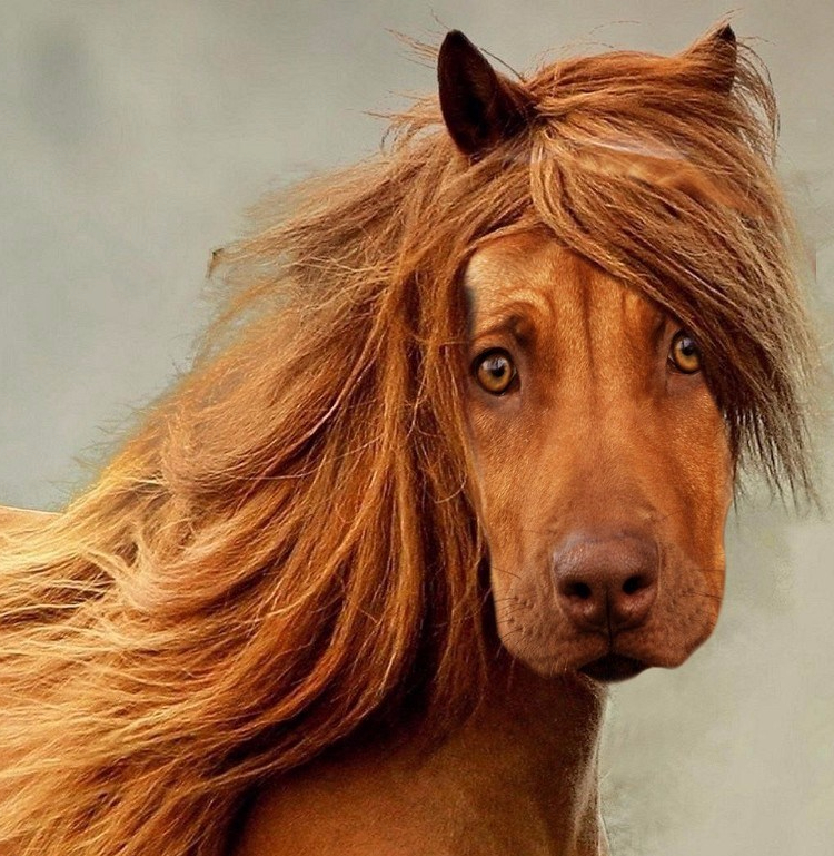 Sagittarius Lifehacks – Depression?!?