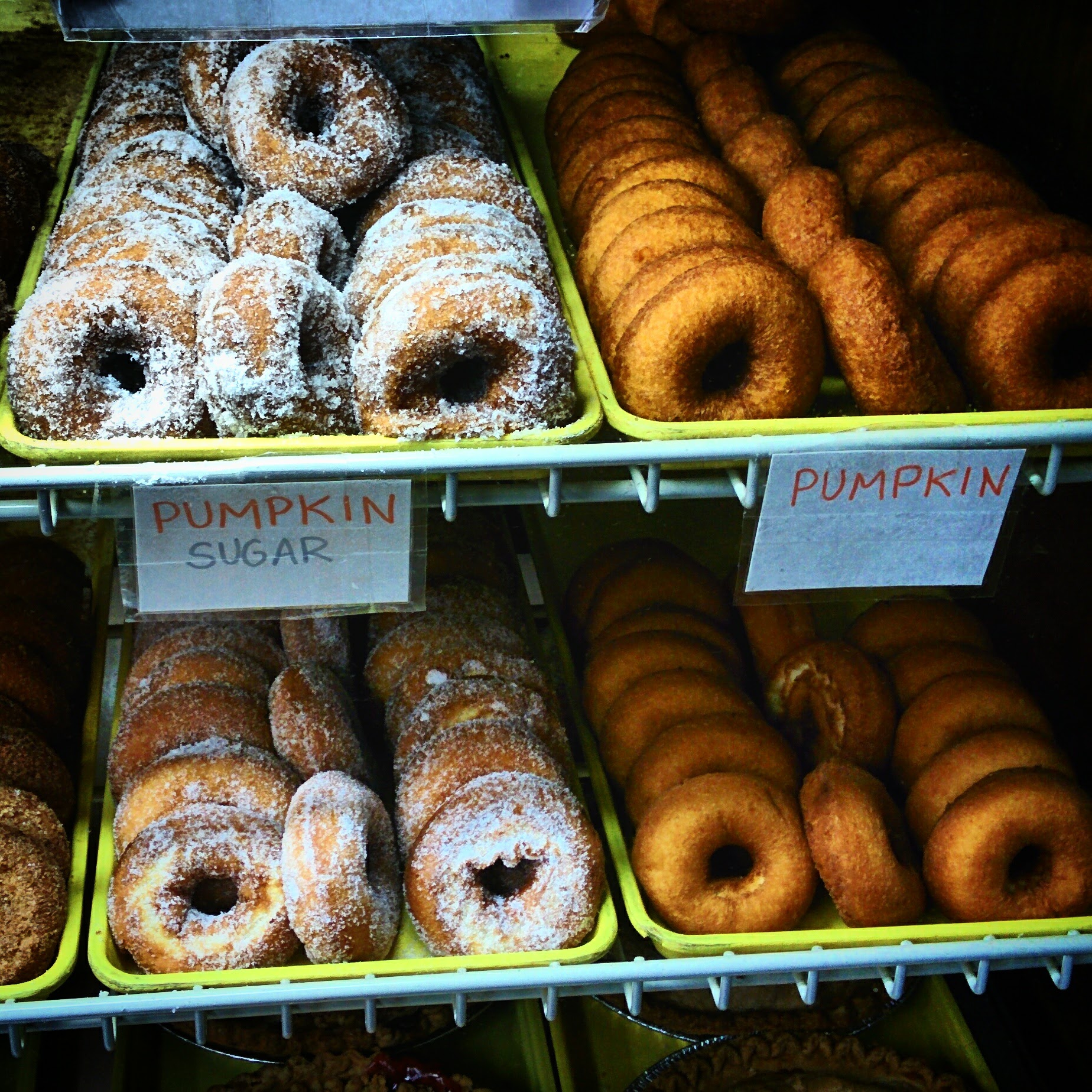 The Moon Is For Lovers: Your Lunar Intimacy Style