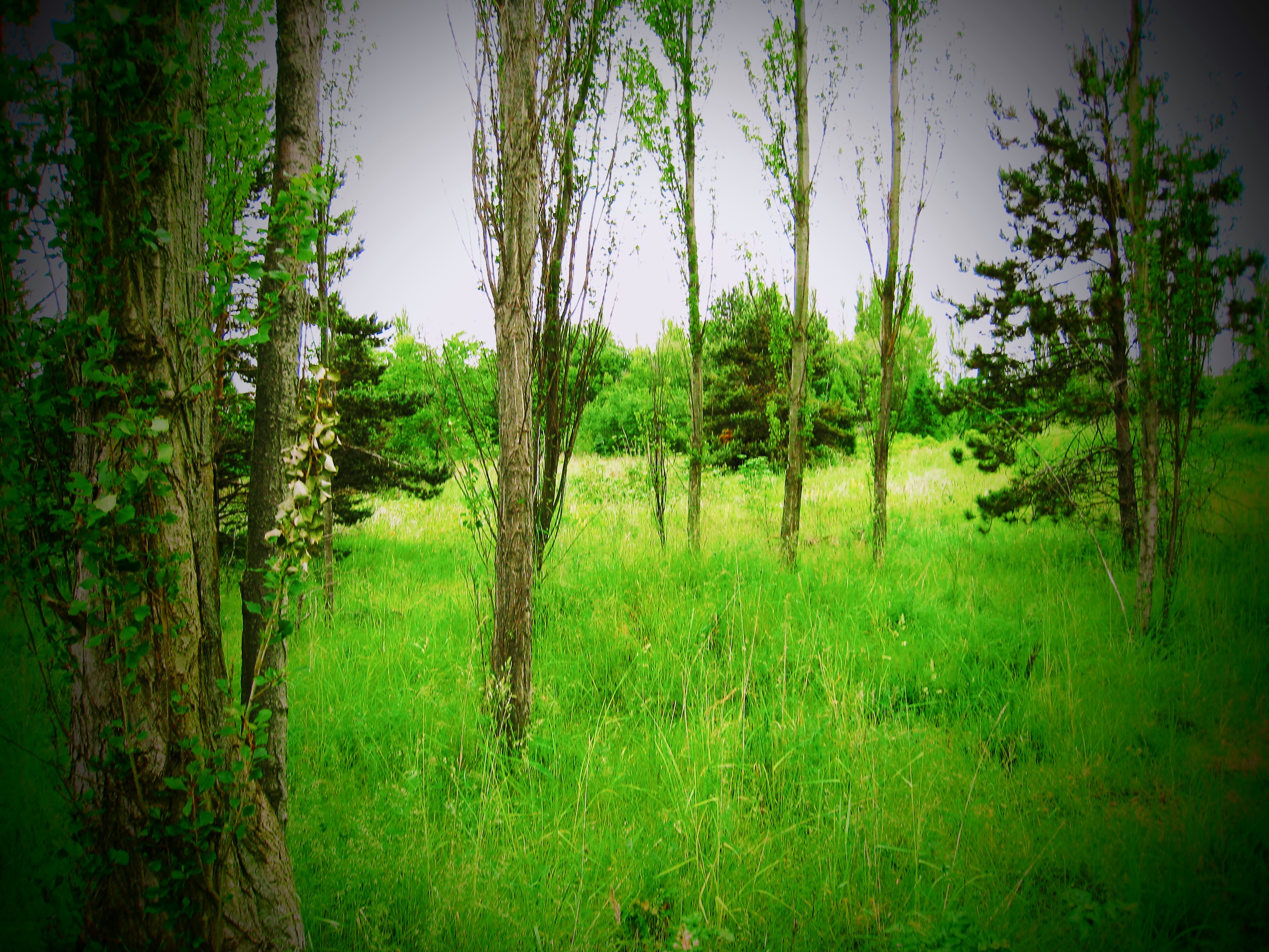 Romance on Neptune: Fantasy crushes & break ups from hell