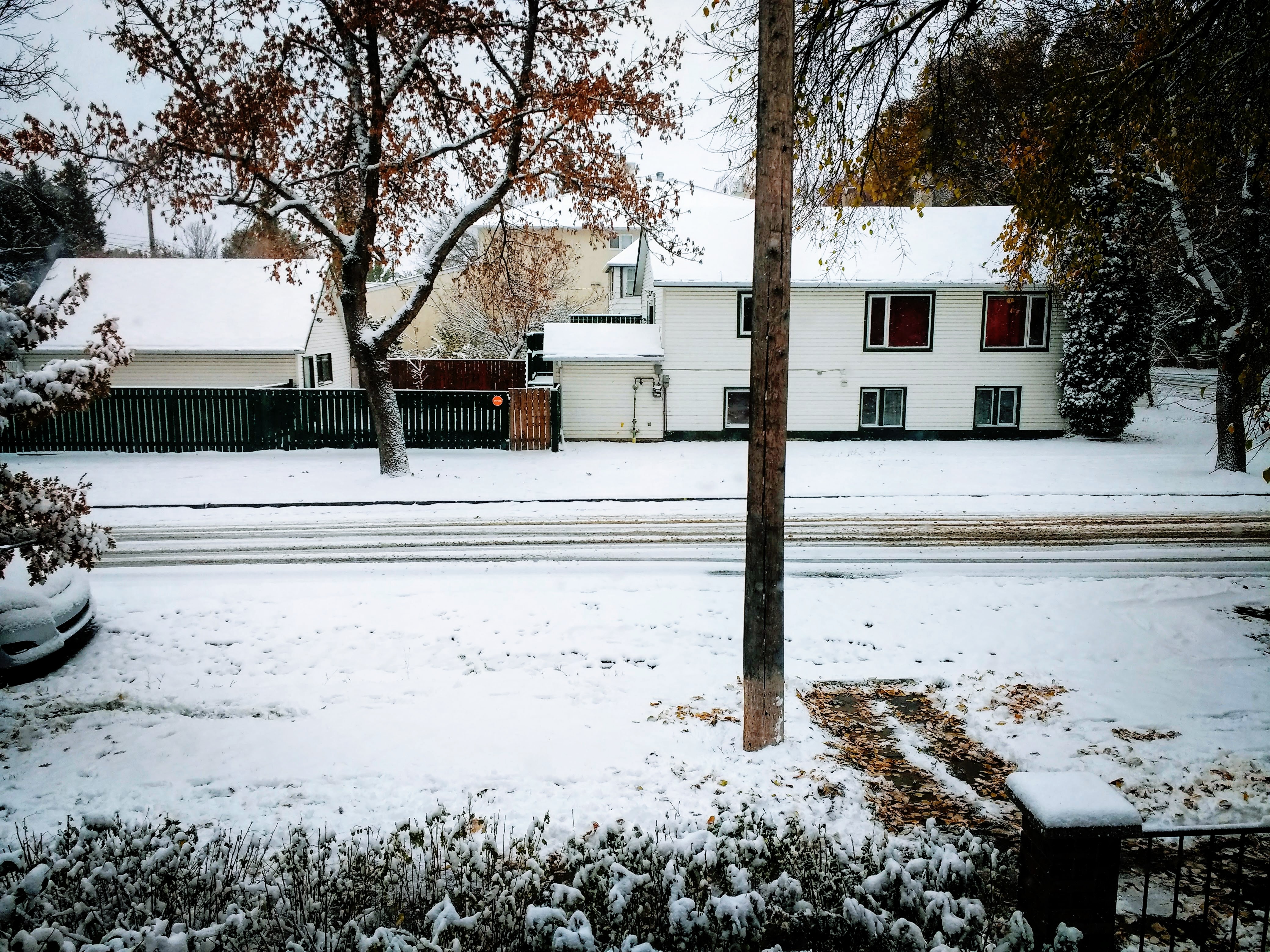 Growing up, growing old: Saturn’s Return